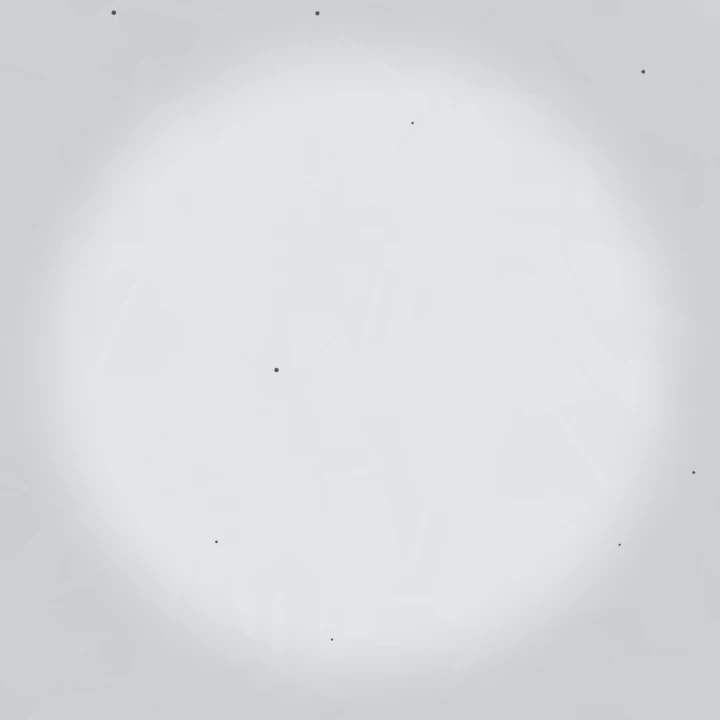Simulated micrograph: solution-annealed 316L stainless steel polished to a mirror at ×200, featureless apart from a scatter of small dark inclusions.